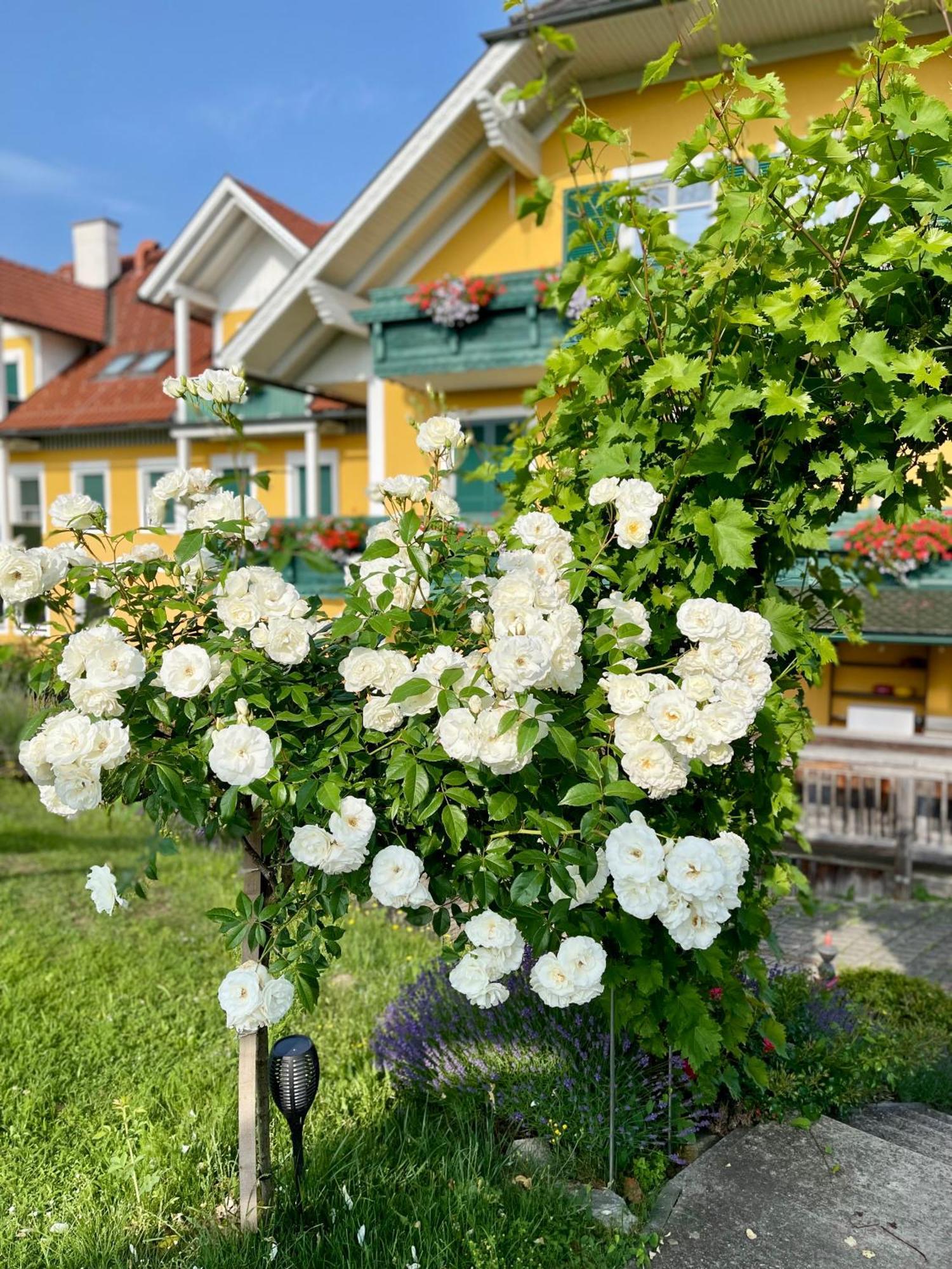 Panoramahotel Steirerland Kitzeck im Sausal Exteriör bild
