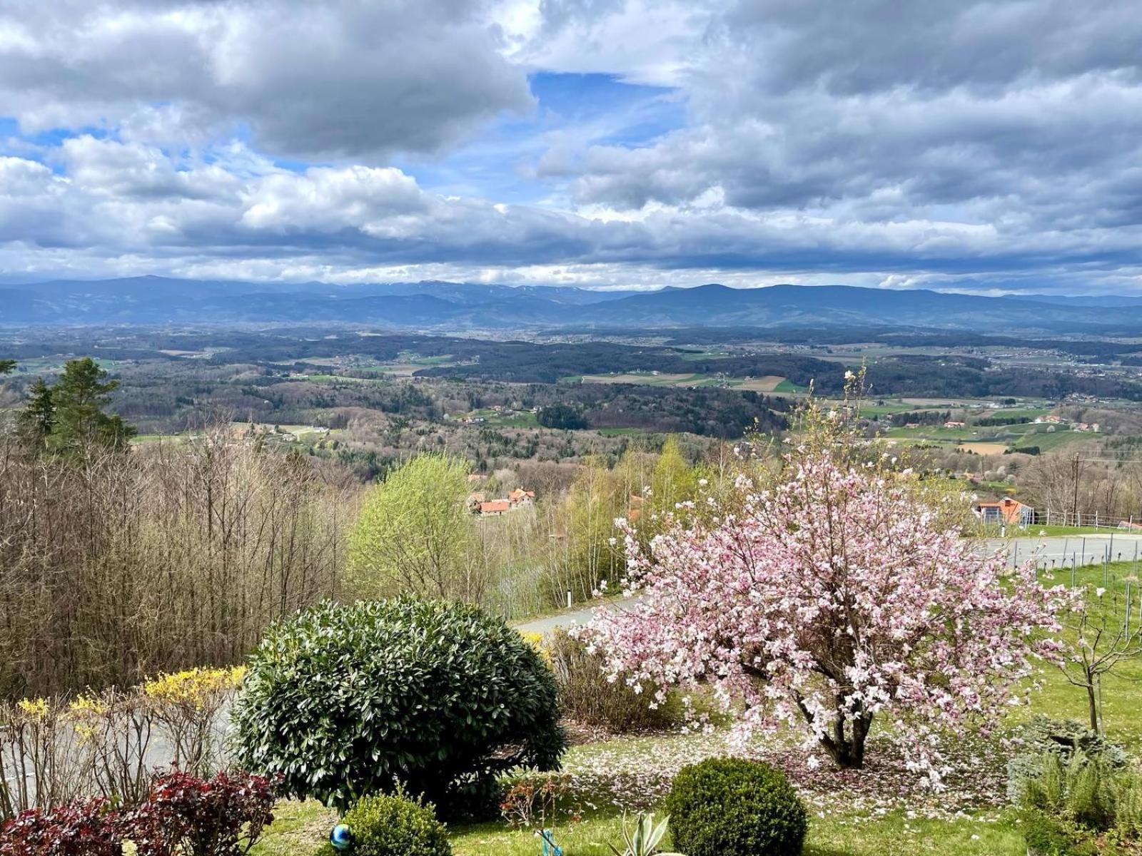 Panoramahotel Steirerland Kitzeck im Sausal Exteriör bild